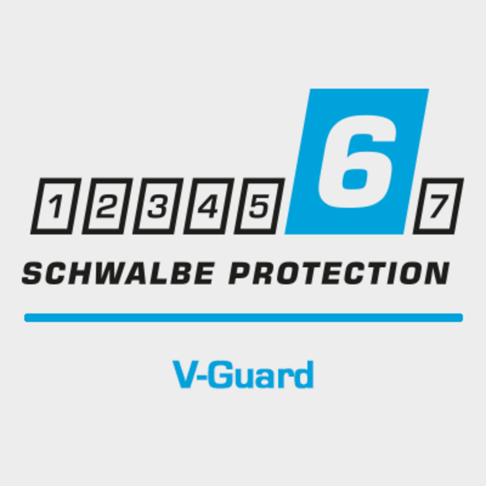 V-Guard